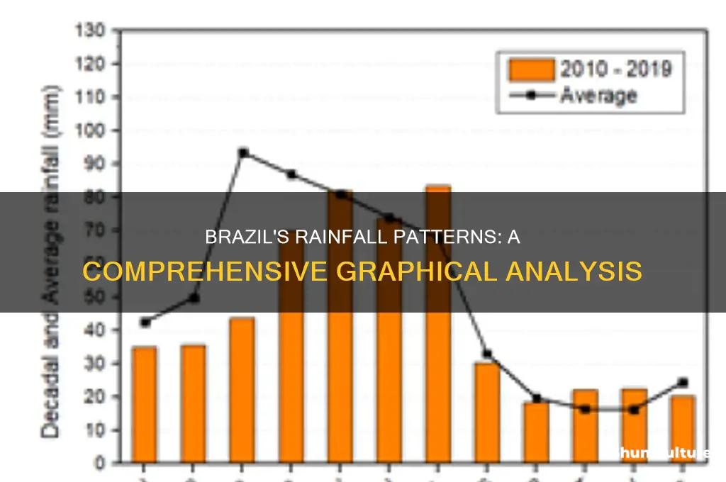 how much rain falls in brazil graph