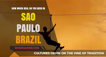Exploring São Paulo: Balancing Reality and Adventure in Brazil's Metropolis