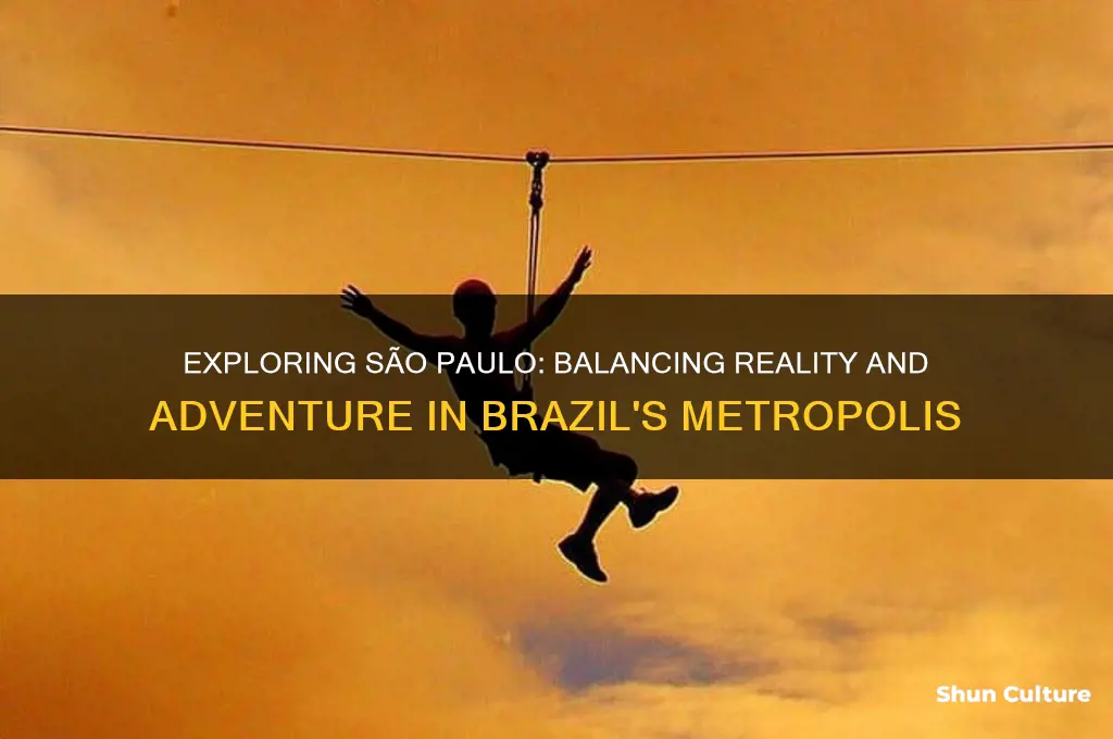 how much real do you need in sao paulo brazil