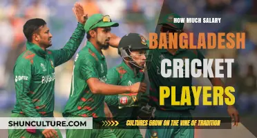 Bangladesh Cricket Players' Salaries: Unveiling Earnings and Contracts
