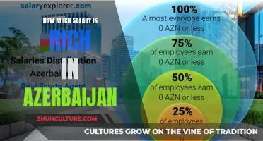 Earning Big in Azerbaijan: What's a Lucrative Salary?