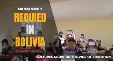 Education in Bolivia: Required Schooling for Children and Teens