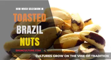 Selenium Content in Toasted Brazil Nuts: A Nutritional Breakdown