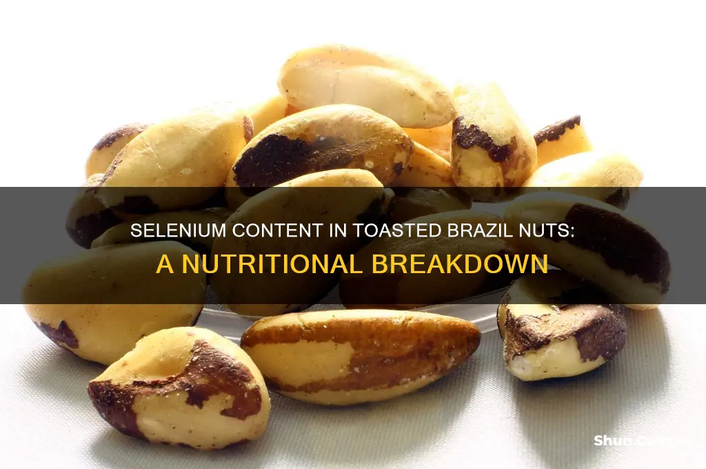 how much selecnium in toasted brazil nuts