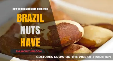 Selenium Content in Two Brazil Nuts: A Nutritional Breakdown