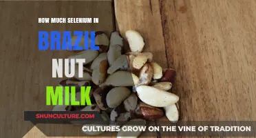 Selenium Content in Brazil Nut Milk: Benefits and Safe Consumption
