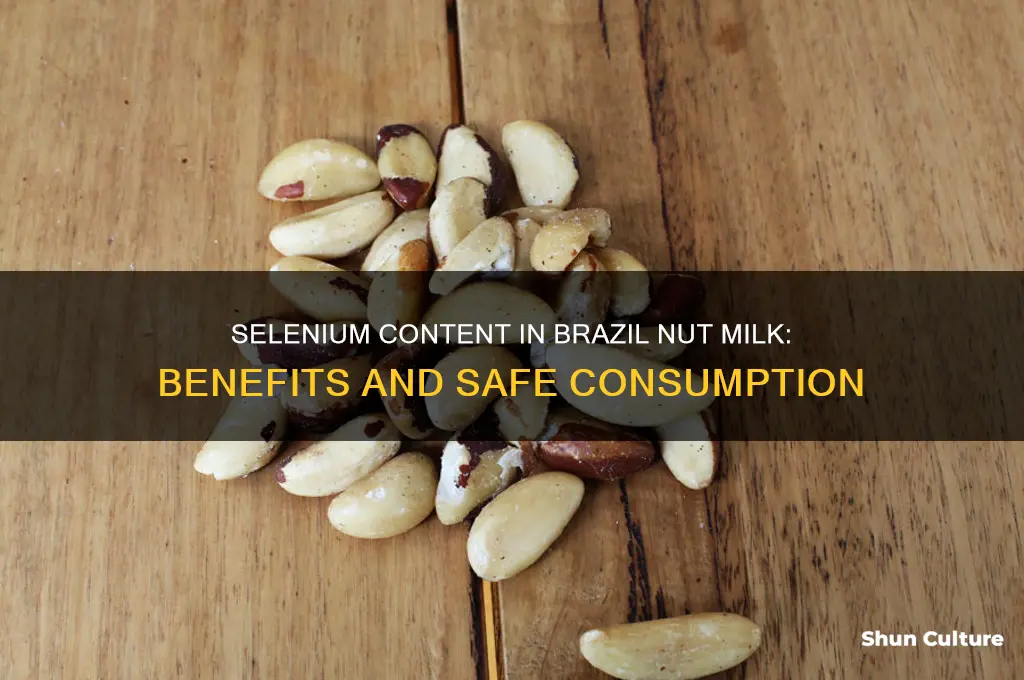 how much selenium in brazil nut milk