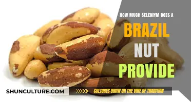 Brazil Nuts and Selenium: Unlocking the Nutritional Powerhouse Inside