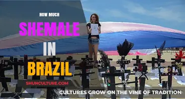 Exploring Brazil's Transgender Community: Insights and Cultural Perspectives