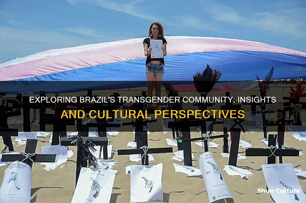 how much shemale in brazil