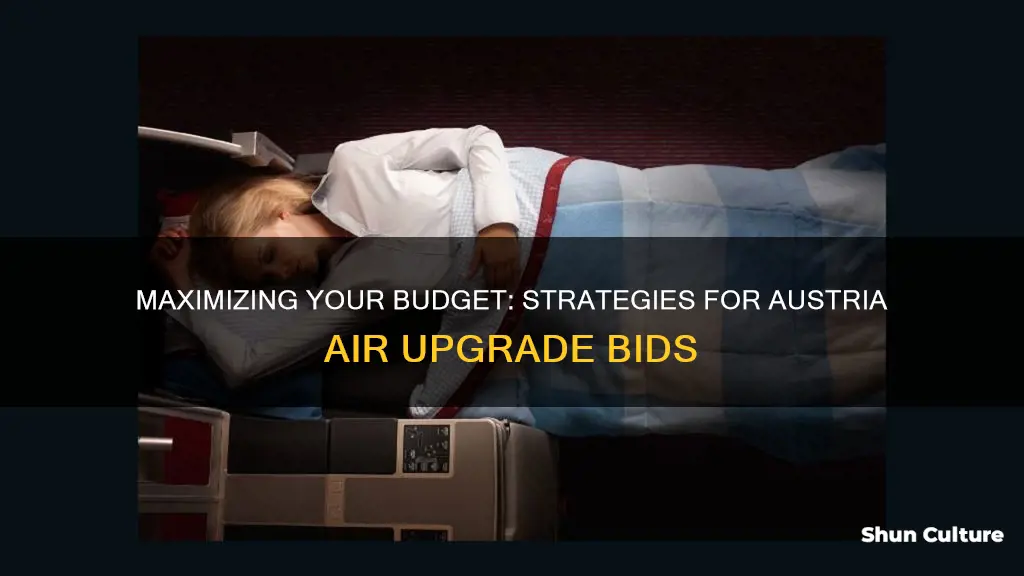 how much should I bid on austria air upgrade