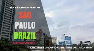 Budgeting for São Paulo: Smart Financial Planning for Your Brazil Trip