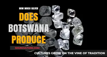 Botswana's Silver Production: Unveiling the Country's Precious Metal Output