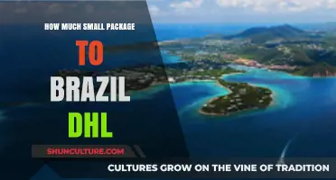 Shipping Small Packages to Brazil with DHL: Costs and Tips