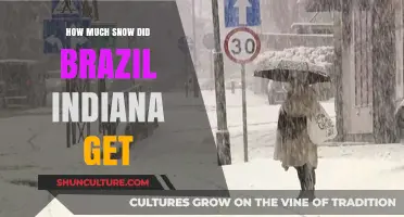 Brazil, Indiana Snowfall: Uncovering the Recent Winter Weather Totals