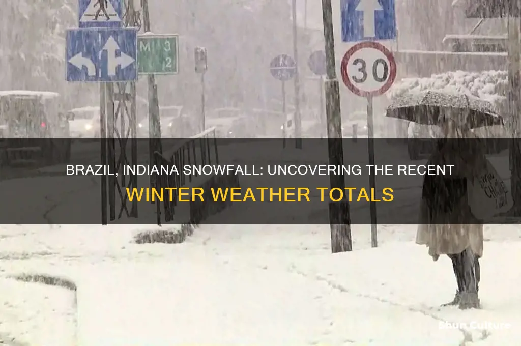 how much snow did brazil indiana get