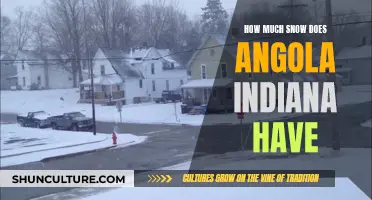 Angola, Indiana: Snowfall and Winter Insights