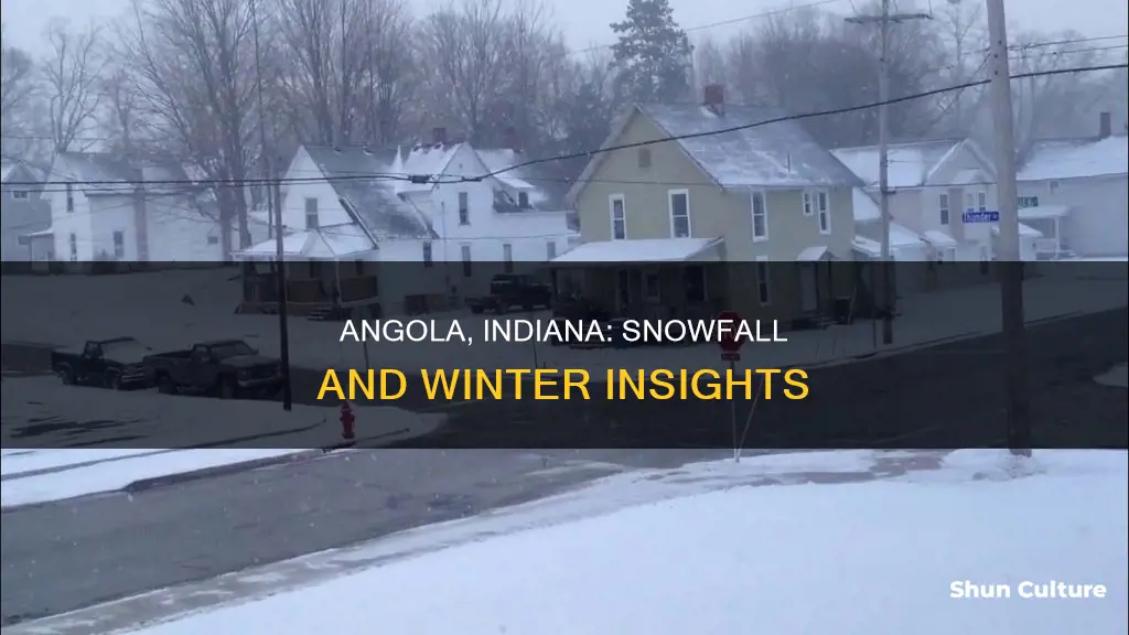 how much snow does angola indiana have