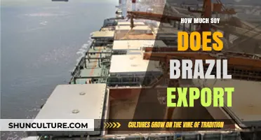 Brazil's Soybean Exports: Global Impact and Trade Insights