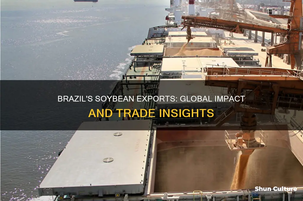 how much soy does brazil export