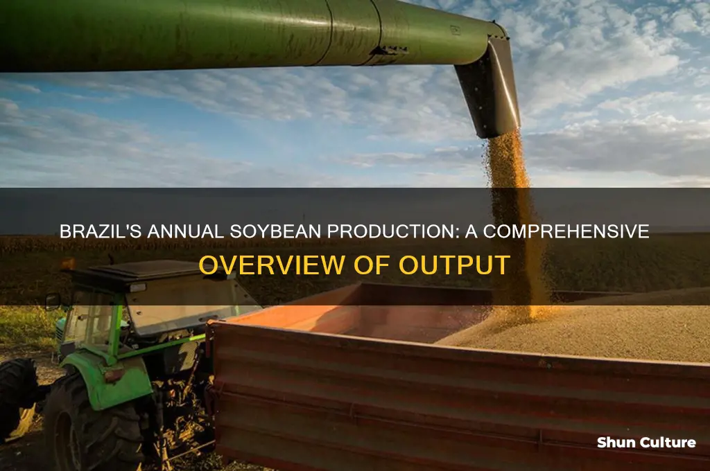 how much soybeans does brazil produce annually