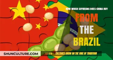China's Soybean Imports: Brazil's Role in Meeting Demand