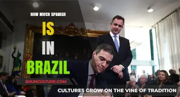 Exploring Spanish Influence in Brazil: Language, Culture, and Connections
