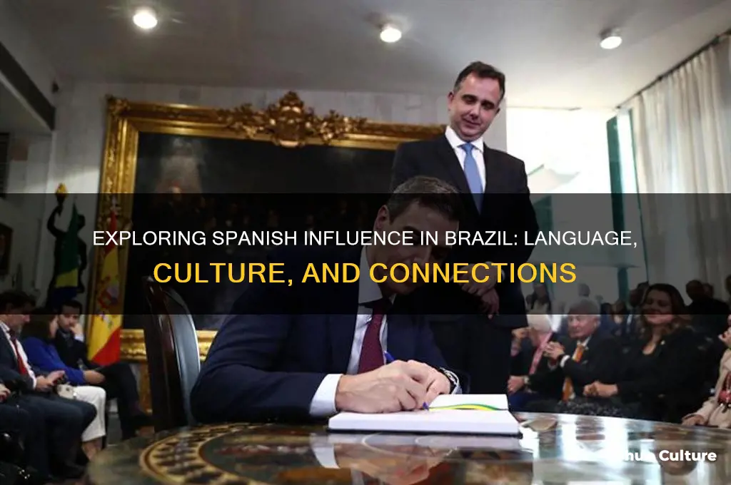 how much spanish is in brazil