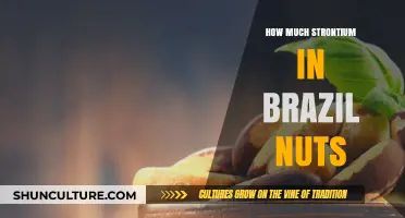 Strontium Levels in Brazil Nuts: Uncovering Nutritional Facts and Safety
