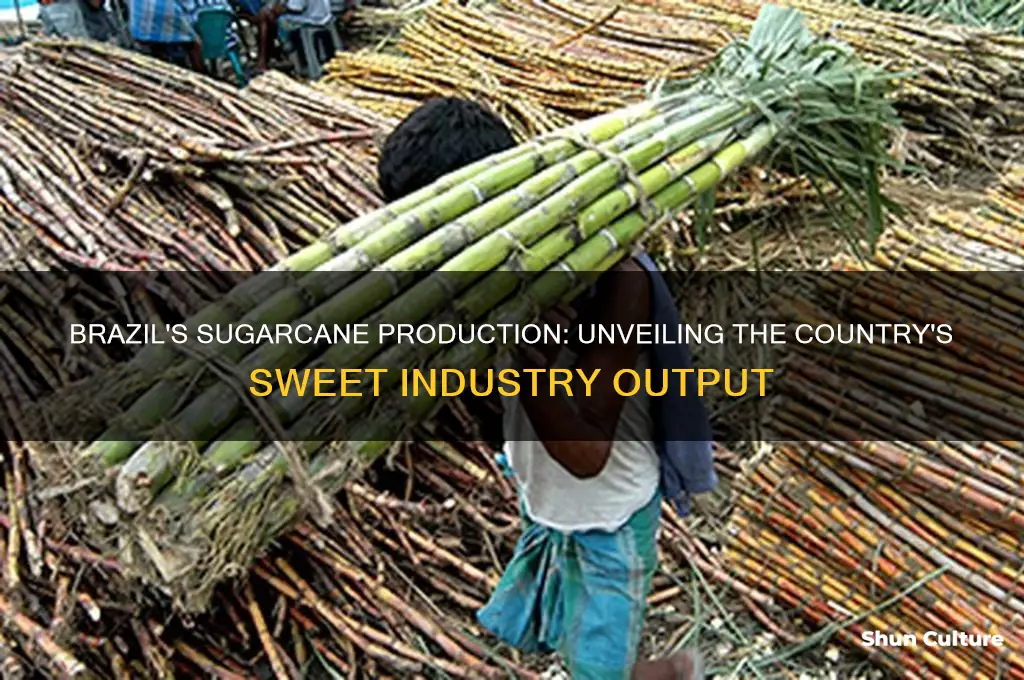 how much sugar cane does brazil produce
