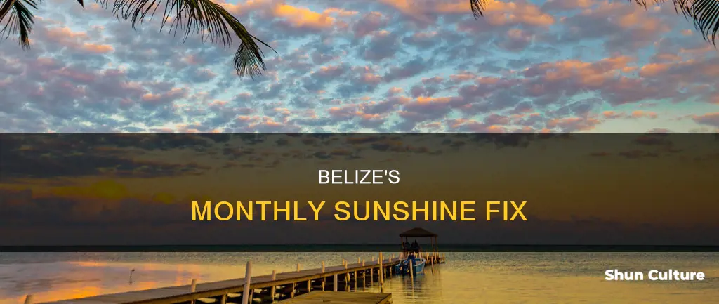 how much sunshine per month in belize