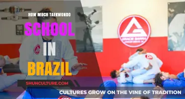 Exploring Taekwondo Schools in Brazil: Costs and Availability
