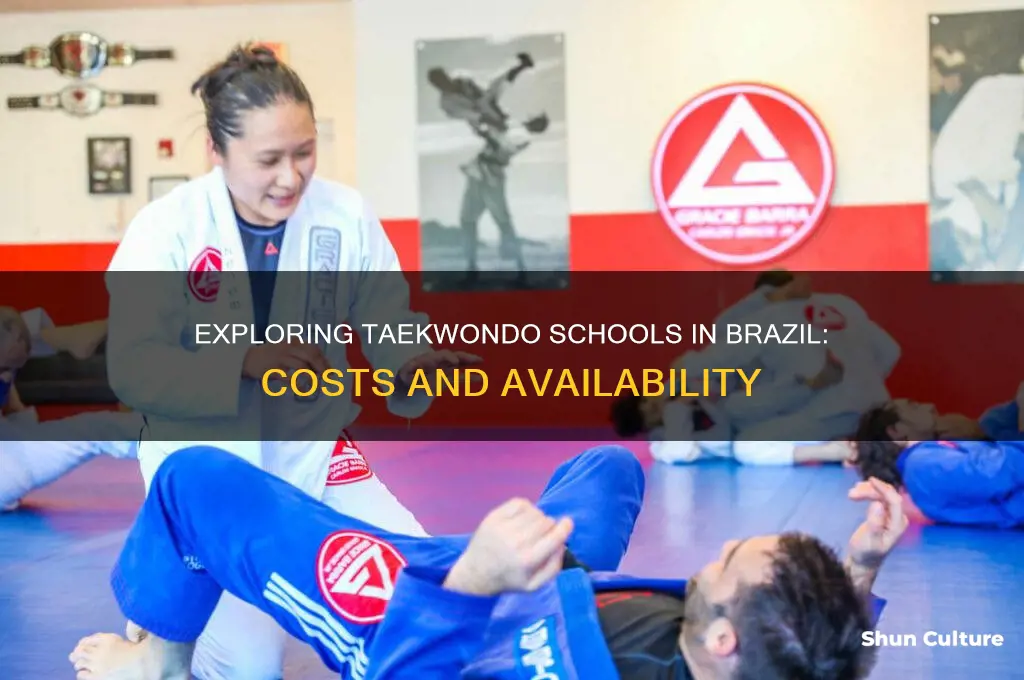 how much taekwondo school in brazil