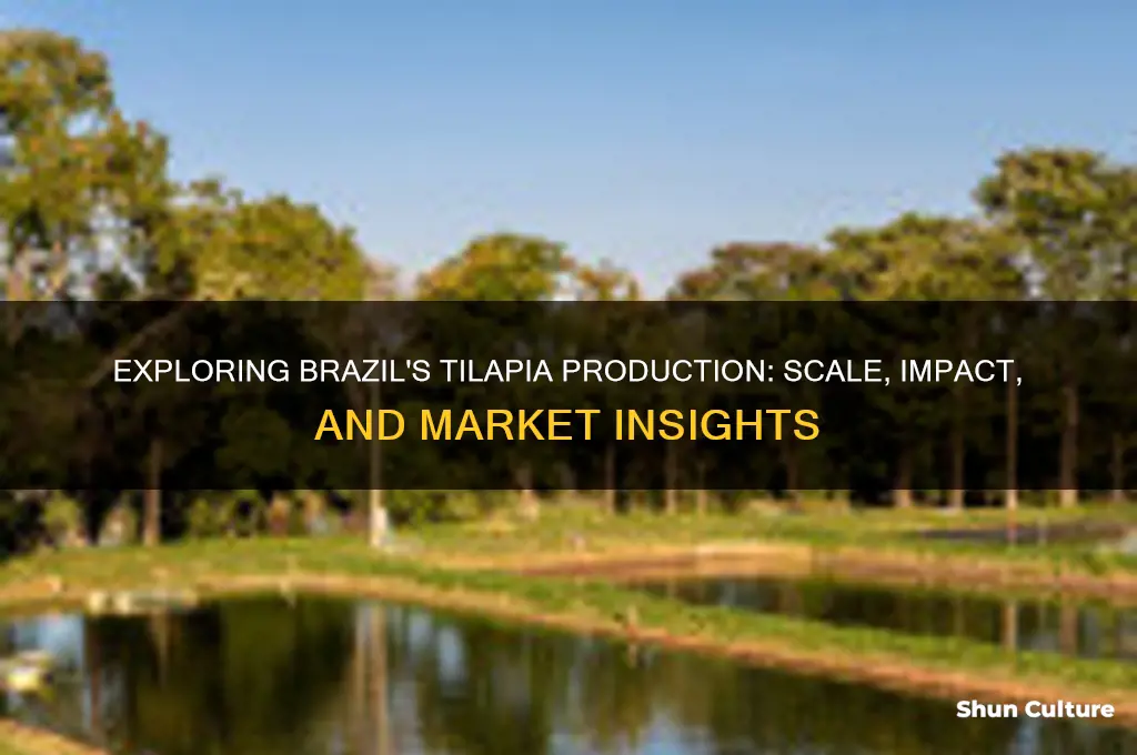 how much talapia is in brazil