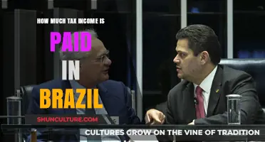 Understanding Brazil's Income Tax System: Rates, Deductions, and Contributions