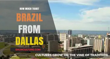 Dallas to Brazil Flights: Ticket Prices and Travel Tips