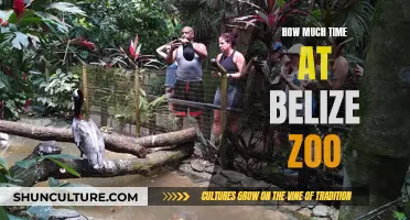 Belize Zoo: A Quick Stop or a Full-Day Adventure?