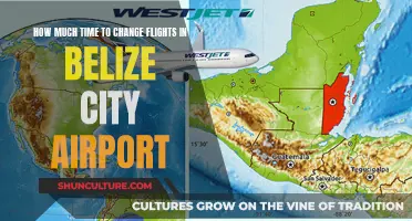 Belize City Airport: Efficient Transit for Seamless Travel