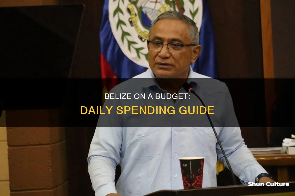 how much to budget a day belize