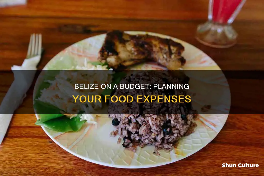 how much to budget for food belize