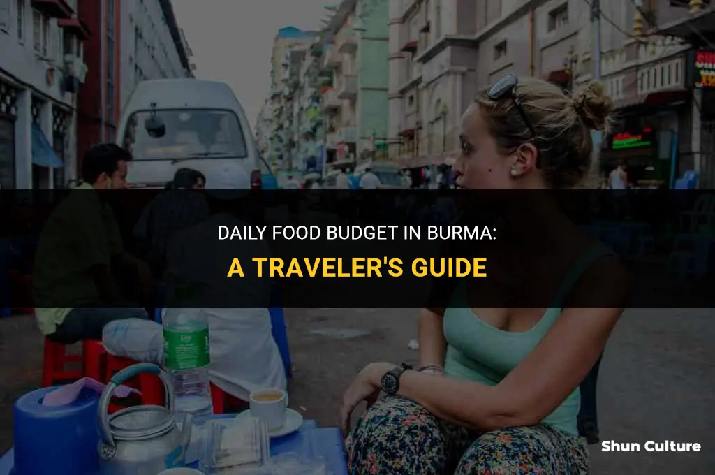 how much to eat in burma for a day