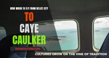 The Quick Hop: Belize City to Caye Caulker Flight Pricing