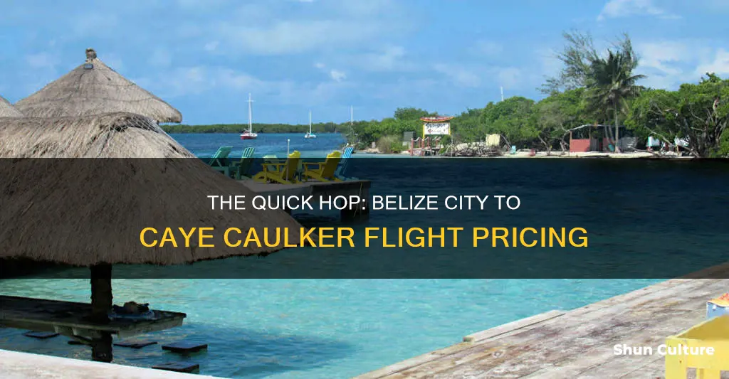 how much to fly from belize city to caye caulker