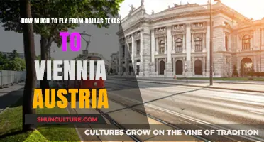 Exploring Flight Costs: Dallas to Vienna, Austria