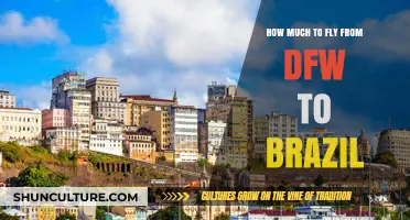 DFW to Brazil Flights: Cost Breakdown and Budget Tips