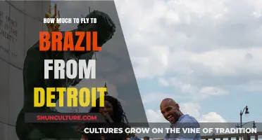 Detroit to Brazil Flights: Cost Breakdown and Travel Tips