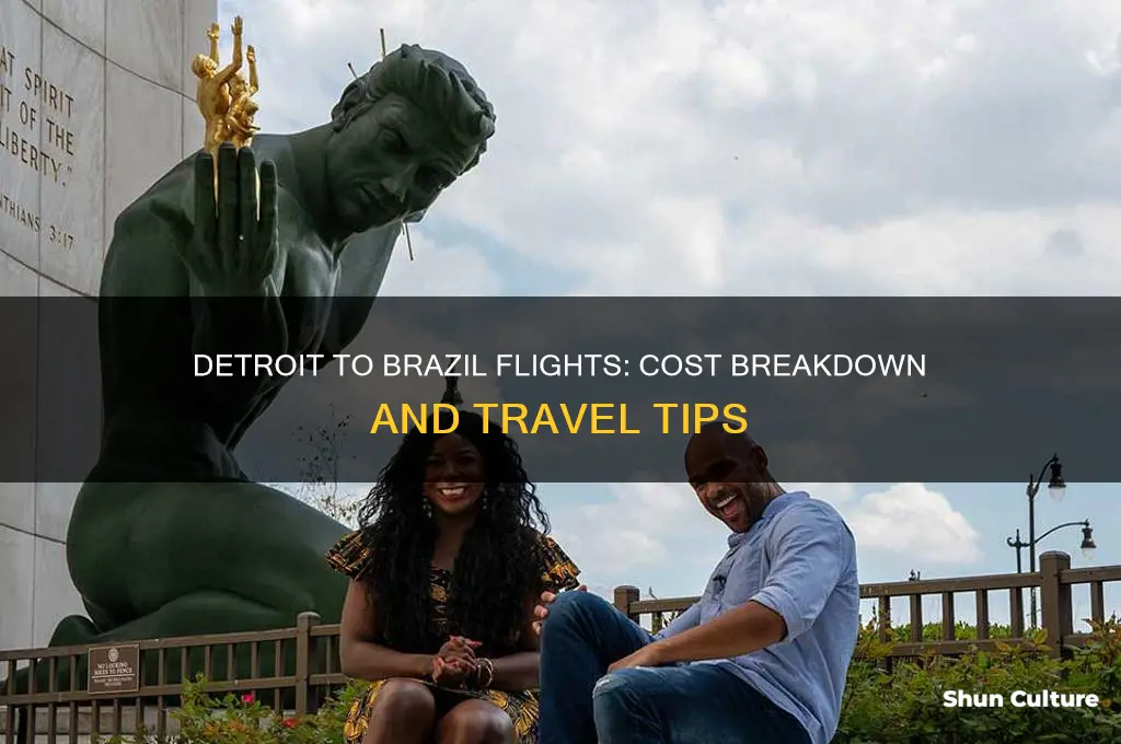 how much to fly to brazil from detroit