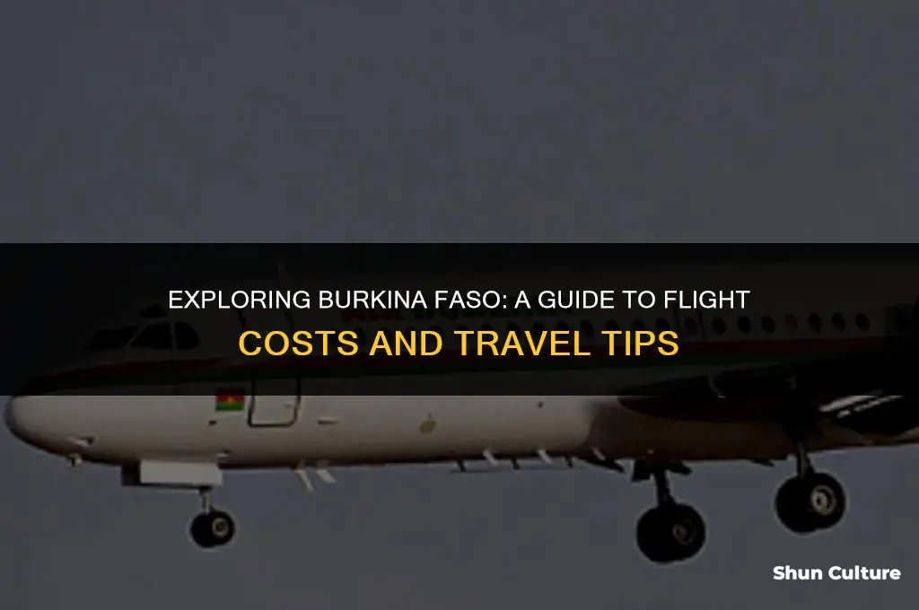 how much to fly to burkina faso