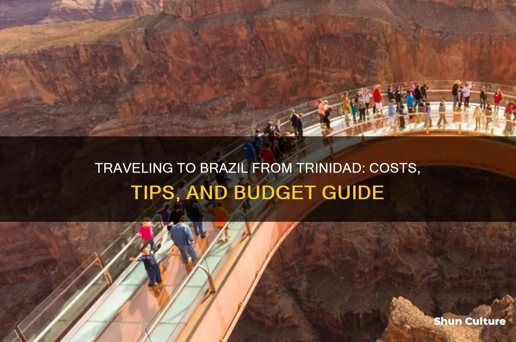 how much to go brazil from trinidad