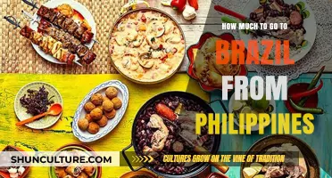 Traveling to Brazil from the Philippines: Cost Breakdown and Tips